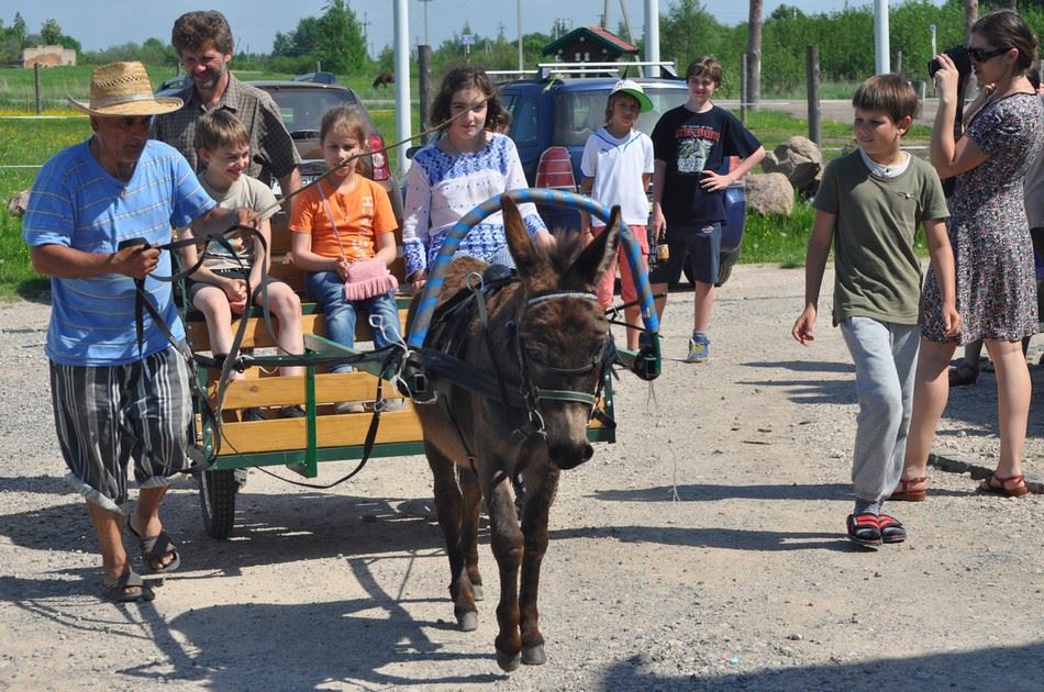 Аренда коттеджа в Ленобласти на берегу озера - База отдыха «Чудское подворье»